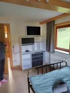 a living room with a tv and a bed at Haus Maria in Patergassen