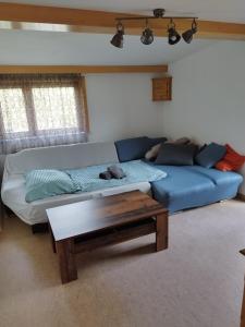 a living room with a blue couch and a coffee table at Haus Maria in Patergassen