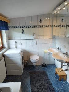 a bathroom with a toilet and a sink at Haus Maria in Patergassen