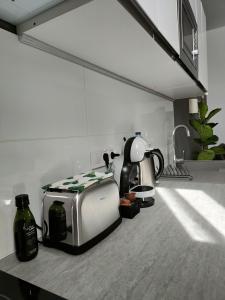 a toaster sitting on top of a kitchen counter at Las Artes Hlius Luxury Apartments in Valencia
