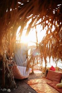 a hammock on the beach under a palm tree at Fully equipped Remote off-grid Solar Wooden Home in Dahab