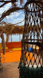 Habitación con 2 camas y vistas al agua. en Fully equipped Remote off-grid Solar Wooden Home, en Dahab