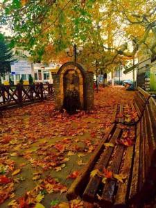 un banc de parc avec des feuilles d'automne sur le sol dans l'établissement Cozy place, à Kozani