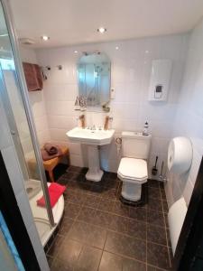 La salle de bains est pourvue de toilettes, d'un lavabo et d'une douche. dans l'établissement Eifel Residence 2, à Gerolstein