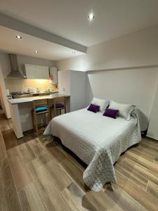 a bedroom with a bed with purple pillows and a kitchen at Monoambiente 50 y 28 in La Plata