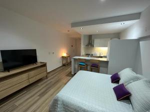 a bedroom with a bed and a flat screen tv at Monoambiente 50 y 28 in La Plata