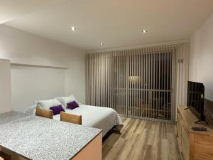 a bedroom with two beds and a television in it at Monoambiente 50 y 28 in La Plata