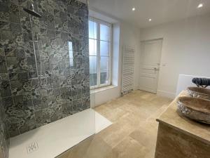 uma casa de banho com um chuveiro, um lavatório e uma janela em Gite les Minimes II em Avallon