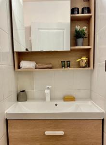 a bathroom with a white sink and wooden shelves at Le Coeur DAISY'L Saint Denis Centre in Saint-Denis