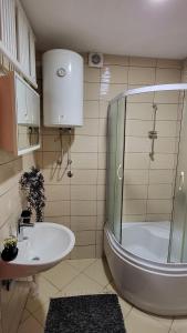 a bathroom with a glass shower and a sink at Cozy Cottage Vlašić in Vlasic