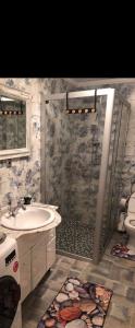 W łazience znajduje się prysznic, umywalka i toaleta. w obiekcie Holiday cottage-vakantiehuis-vikendica w mieście Zolaći
