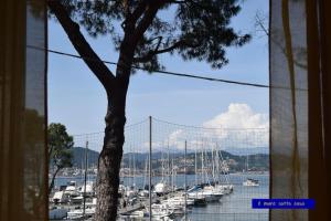 Blick auf einen Yachthafen mit Booten im Wasser in der Unterkunft IL MARE SOTTO CASA - Free parking in Fezzano