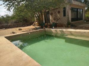 une piscine d'eau verte en face d'une maison dans l'établissement Casa de campo y arte en Zona Arqueológica Ake, con alberca., à Aké