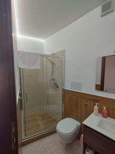 a bathroom with a shower and a toilet and a sink at B&B Sentiero Italia in Latronico