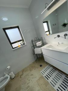 ein Badezimmer mit einem Waschbecken, einem WC und einem Spiegel in der Unterkunft מון-שיר הגושרים in HaGoshrim