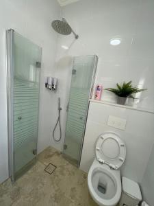 a bathroom with a toilet and a glass shower at מון-שיר הגושרים in Hagoshrim