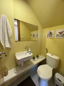 ein Badezimmer mit einem weißen WC und einem Waschbecken in der Unterkunft Village Ninho da Jandaia in Mata de Sao Joao