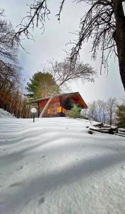 a barn in a snow covered field next to a tree at Baita Nord in Linguaglossa