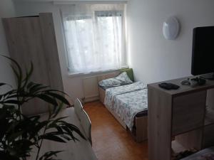 - une petite chambre avec un lit et une fenêtre dans l'établissement Maxi's Home, à Marchtrenk