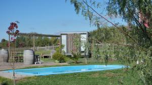 a swimming pool in the yard of a house at Cabañas y Padel Tinycolchagua cl in Santa Cruz