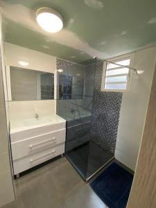 Le Guillaume的住宿－Odelil，带淋浴、盥洗盆和镜子的浴室