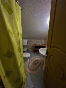 a small bathroom with a sink and a toilet at Edison in Jablanica