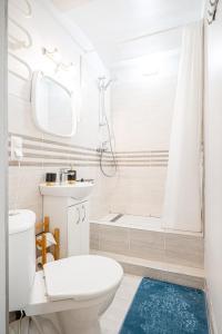 La salle de bains est pourvue de toilettes, d'un lavabo et d'une douche. dans l'établissement Premium City Center Lukiskiu Apartment, à Vilnius