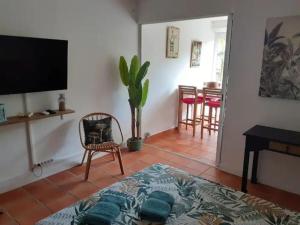 un salon avec une télévision et une chaise dans l'établissement Studio Coco Passion, à Saint-François