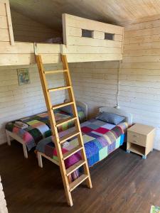 ein Schlafzimmer mit einem Etagenbett und einer Leiter in der Unterkunft Žubites - 3 in Bērzgale