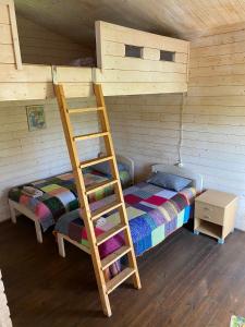 a bedroom with a bunk bed and a ladder at Žubites - 3 in Bērzgale