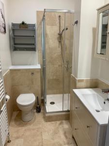 ein Bad mit einer Dusche, einem WC und einem Waschbecken in der Unterkunft 2 bed Home from Home Apartment 41 in London