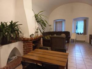 a living room with a couch and a fireplace at Bytová jednotka v Táboře Lužnická 423 in Tábor