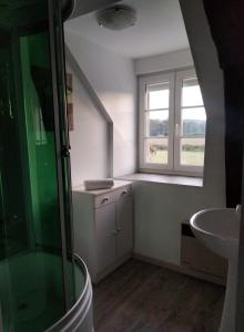 bagno con doccia e lavandino di Gîte & chambre d'hôtes du Moulin a Brûlon