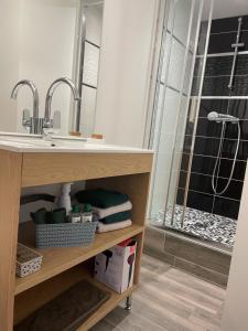 een badkamer met een wastafel en een douche bij Appartement RDC avec extérieur in Granville