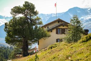 a house on the side of a hill with a tree at Mountain Lodge Ze Seewjinu - above Zermatt in Zermatt
