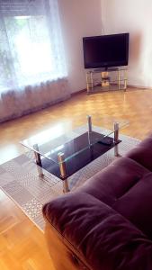una mesa de centro de cristal en una sala de estar con sofá en Familienhaus en Niedenstein