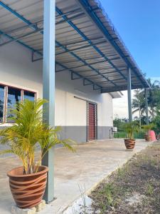 ein Gebäude mit zwei großen Topfpflanzen auf einer Terrasse in der Unterkunft RUMAH INAP 09 in Arau