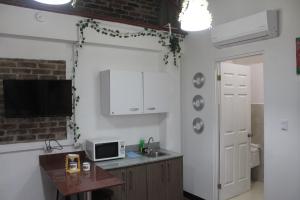 a kitchen with a sink and a microwave at Cando Living Apartments in Central Avenue in San José