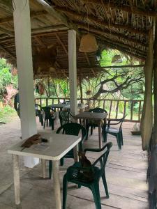 a patio with tables and chairs and a cat sitting on a chair at La finquita de jamgara in Buenaventura