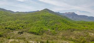 Fotografie z fotogalerie ubytování Apartman Orhideja v destinaci Sveti Rok