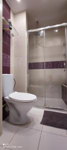 a bathroom with a toilet and a glass shower at Liepaja Beach in Liepāja +21 photos