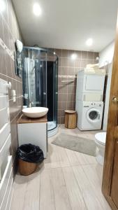 a bathroom with a sink and a washing machine at Le Carpé Diem in Saint-Privat-dʼAllier