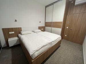 a bedroom with a bed and a large mirror at Diamant apartment pri sejmu MOS in Celje