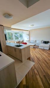 eine Küche mit Spüle und ein Wohnzimmer in der Unterkunft Modern and cozy apartment, excellent location, near Sarajevo City Center, 60m2 in Sarajevo