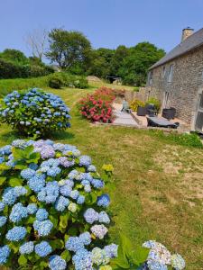 a garden of flowers in front of a building at Gîte du Lieu Piquot in Gréville-Hague