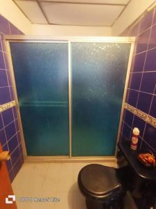 een badkamer met een toilet en een glazen raam bij Hospedaje Doña Victoria in Santa Marta