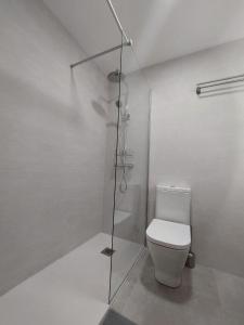 a bathroom with a toilet and a glass shower at Reina Doña Urraca in Palencia