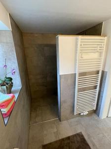 a bathroom with a walk in shower with a cabinet at Bezauberndes Gästehaus auf dem Lande in Ottersberg