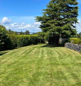 un gran patio de césped con un árbol y una pared de piedra en Hillcrest Lodge, Private apartment on Lough Corrib, Oughterard, en Galway