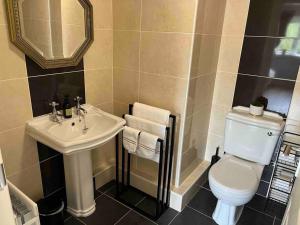 a bathroom with a white toilet and a sink at Hillcrest Lodge, Private apartment on Lough Corrib, Oughterard in Galway